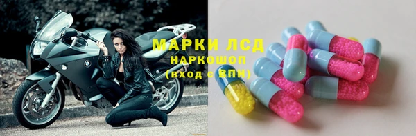 spice Верея