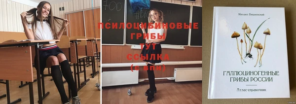 мескалин Ростов