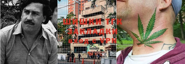 сатива Бугульма