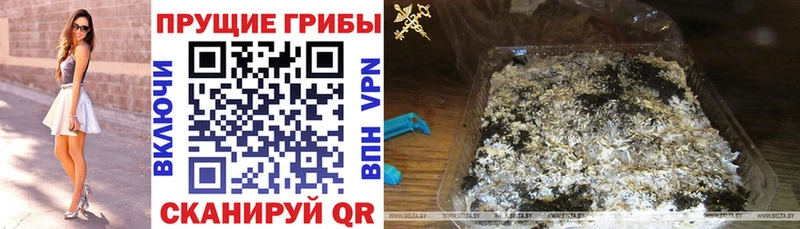 купить наркотик  Вилюйск  Псилоцибиновые грибы ЛСД 
